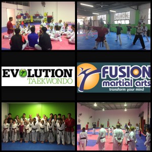 Seminar at Fusion and Evolution Martial Arts 
